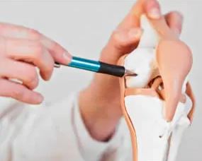 Cellule staminali e fattori di crescita in ortopedia
